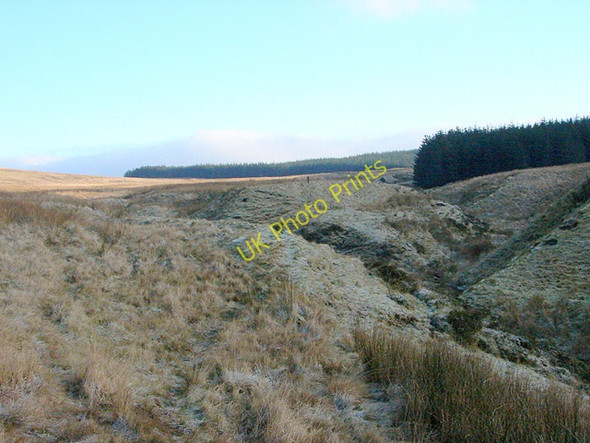 Photo 6"x4" Approaching the forestry at Waun Llinau Aberangell c2008