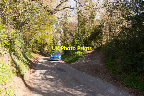 Photo 6"x4" White Hill, Upham with public path Upham\/SU5320 c2014