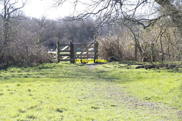 Photo 6"x4" Gate across the field Mortimer West End c2014