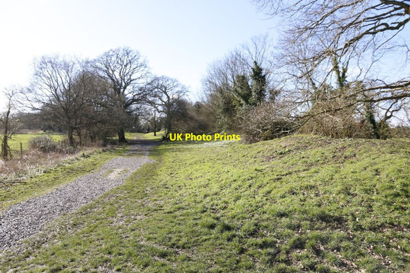 Photo 6"x4" Path to the South Gate Mortimer West End c2014