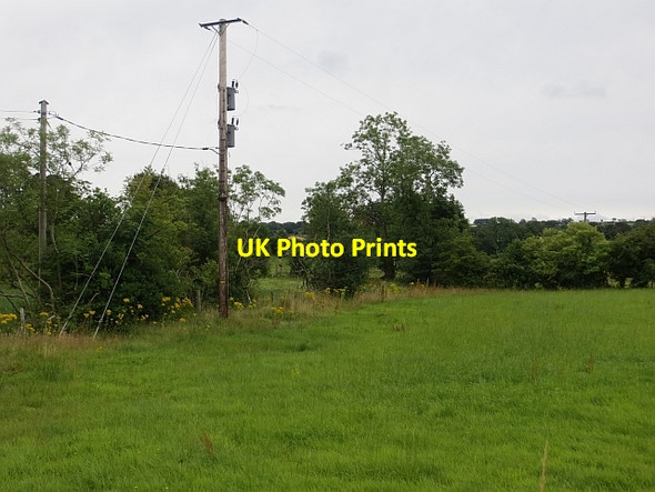 Photo 6"x4" Field, Urney Clady c2013