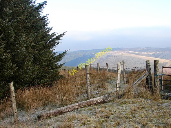 Photo 6"x4" Fence enclosing the forestry at Waun Llinau Aberangell c2008