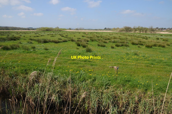 Photo 6"x4" Meadowland at Wareham Wareham c2014
