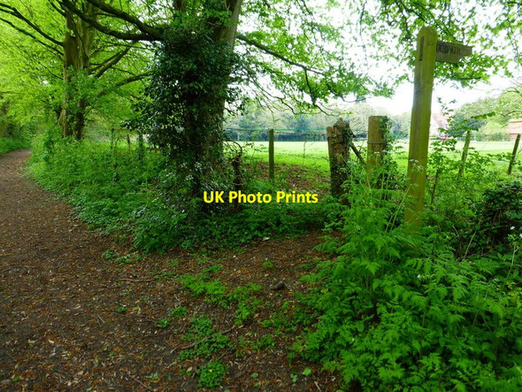 Photo 6"x4" Path junction with bridleway by field in Weston Patrick Weston Corbett c2014