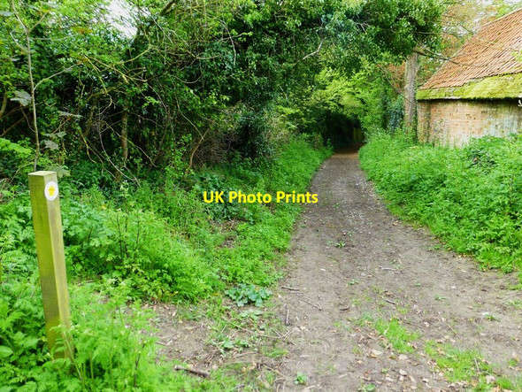 Photo 6"x4" Path junction with bridleway by barn in Weston Patrick Weston Corbett c2014