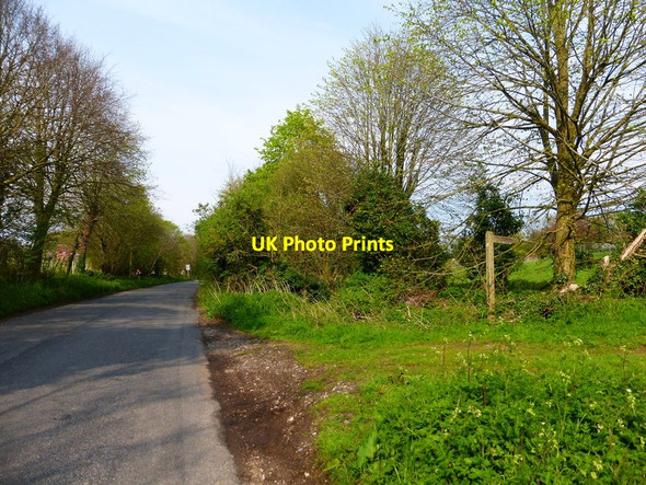 Photo 6"x4" Footpath junction on The Street in Weston Patrick Weston Corbett c2014