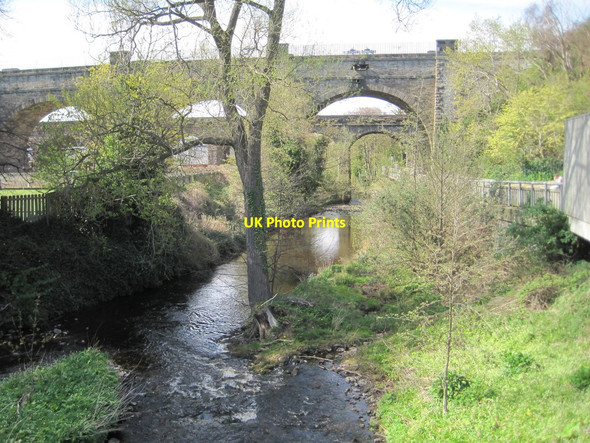 Photo 6"x4" Water of Leith at Slateford Craiglockhart c2014