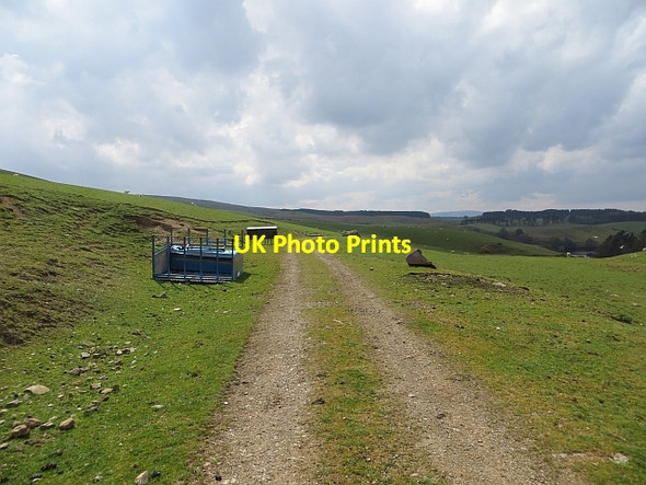 Photo 6"x4" Logging road Garvald\/NT5870 c2014