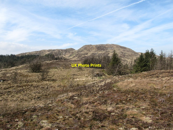 Photo 6"x4" Forest remnants between the telecommunications masts and the rocky upper slopes of Camlough Mountain Camlough c2014