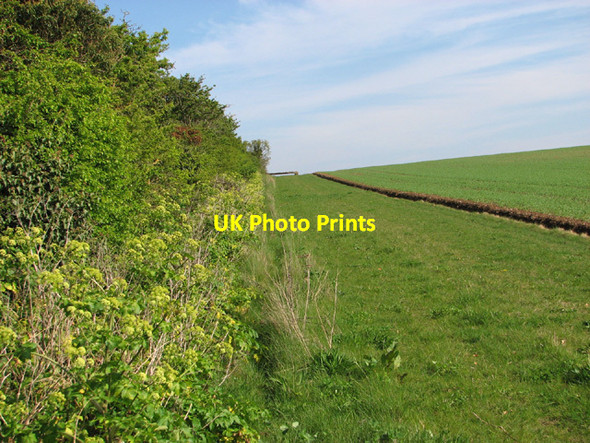 Photo 6"x4" Field margin and boundary hedge Warham\/TF9441 c2014