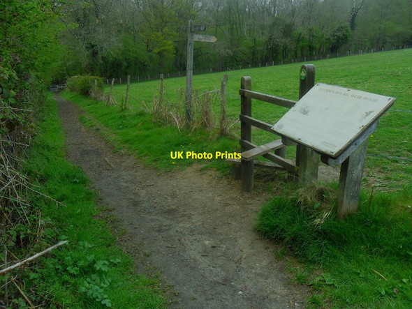 Photo 6"x4" Sussex Border Path Meets Path to Standen Rocks Charlwood\/TQ3934 c2014