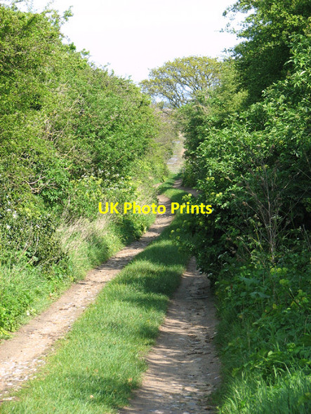 Photo 6"x4" View along Cocklestrand Drove Warham\/TF9441 c2014