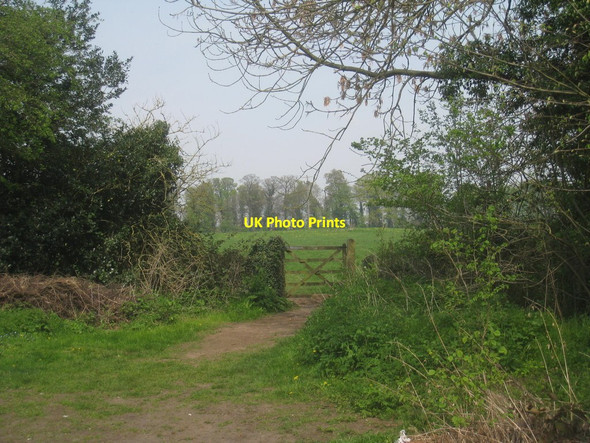 Photo 6"x4" Footpath to Carlton Wood South Carlton\/SK5983 c2014