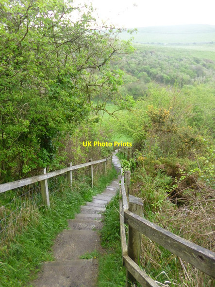 Photo 6"x4" Seacombe, steps Worth Matravers c2014