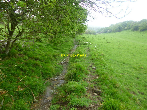 Photo 6"x4" Seacombe, ditch Acton\/SY9878 c2014