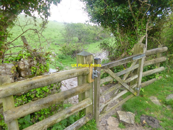 Photo 6"x4" Seacombe, gate Acton\/SY9878 c2014