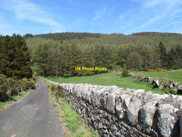 Photo 6"x4" View north along the Forest Drive Camlough c2014