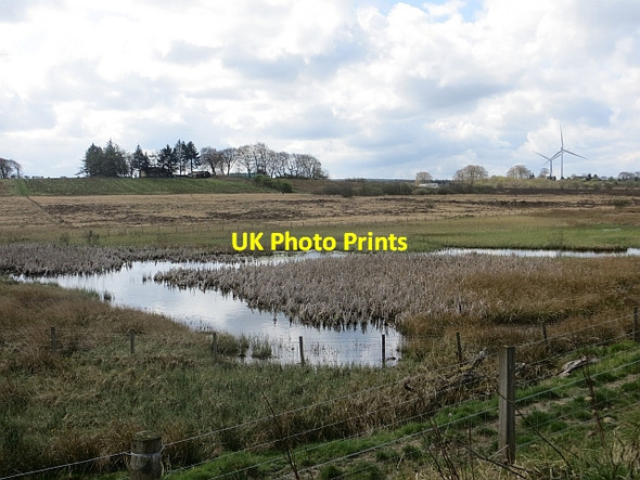 Photo 6"x4" Black Moss Armadale\/NS9368 c2014