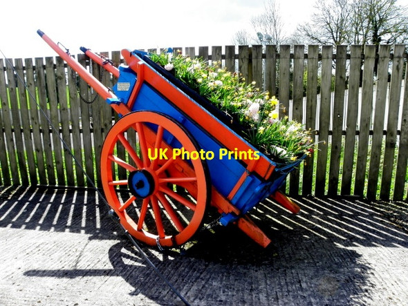 Photo 6"x4" Floral display, Magheraveely Clones c2014