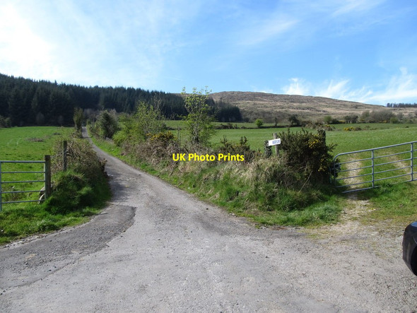Photo 6"x4" The upper section of Carrivekeeney Road leading to Camlough Wood Camlough c2014