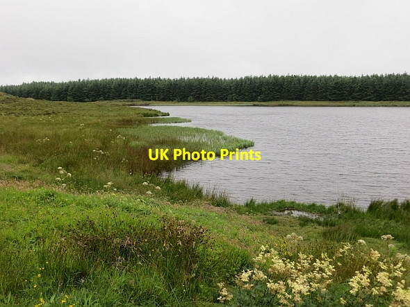 Photo 6"x4" Binevenagh Lake Bolea c2013