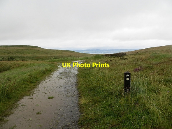 Photo 6"x4" Wet path, Binevenagh Bolea c2013