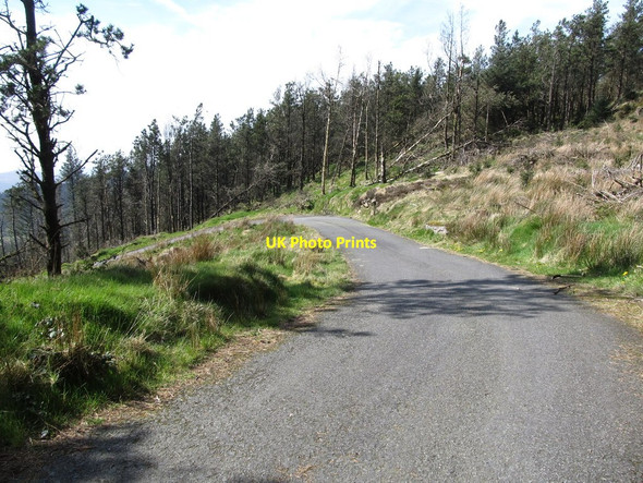 Photo 6"x4" Horseshoe bend on the Camlough Forest Road Camlough c2014