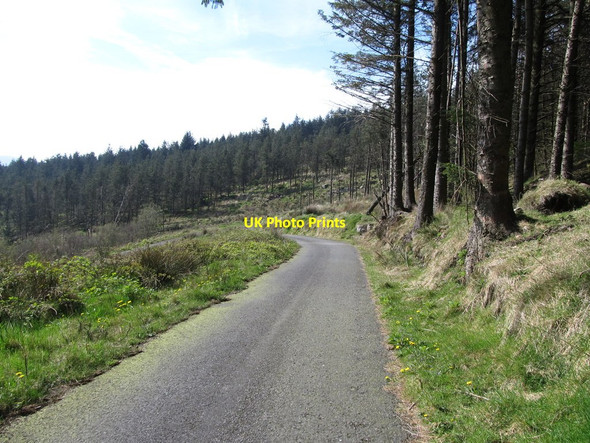 Photo 6"x4" Approaching the hair-pin bend in the Forest Road Camlough c2014