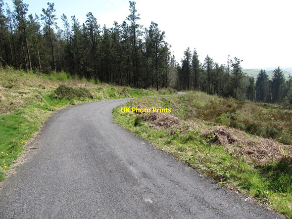 Photo 6"x4" The lower limb of the Forest Road hair-pin bend Camlough c2014