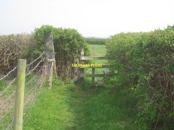 Photo 6"x4" Stile on the path to Hodsock Carlton in Lindrick c2014
