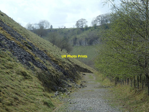 Photo 6"x4" Deep Dale scene Cowlow\/SK0972 c2014
