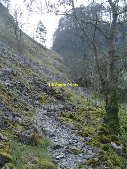 Photo 6"x4" Footpath up Deep Dale Cowlow\/SK0972 c2014