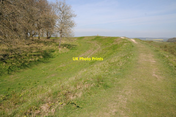 Photo 6"x4" Badbury Rings Hemsworth\/ST9605 c2014