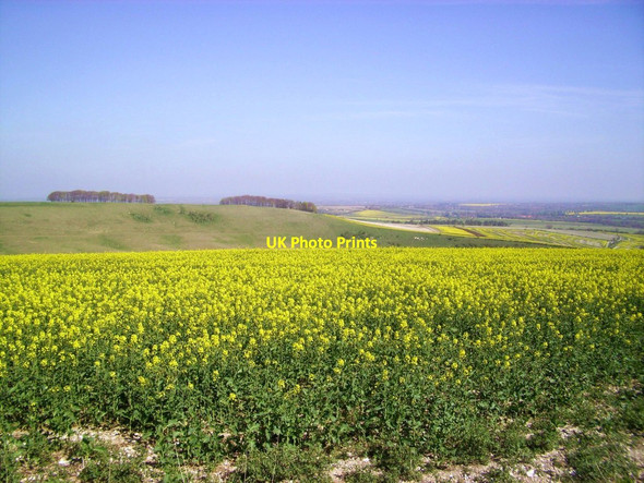 Photo 6"x4" View to Hackpen Hill Letcombe Bassett c2014