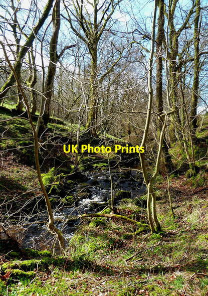 Photo 6"x4" Balsaggart Burn Crosshill\/NS3206 c2014