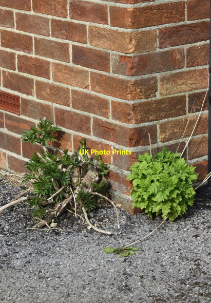 Photo 6"x4" Benchmark on the closed The Friar public house Oxford\/SP5106 c2014