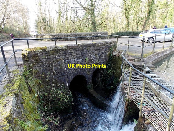 Photo 6"x4" Pond overflow at Gnoll Estate Country Park, Neath Neath\/Castell-Nedd c2014