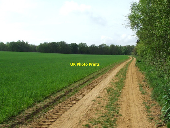 Photo 6"x4" Green Field And Track Ramsholt c2014