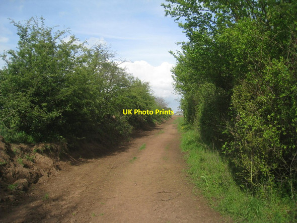Photo 6"x4" Farm track near Warren Hill Dunsville c2014