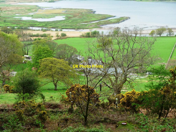 Photo 6"x4" Derwent Foot, Bassenthwaite Lake Woodend\/NY2127 c2014