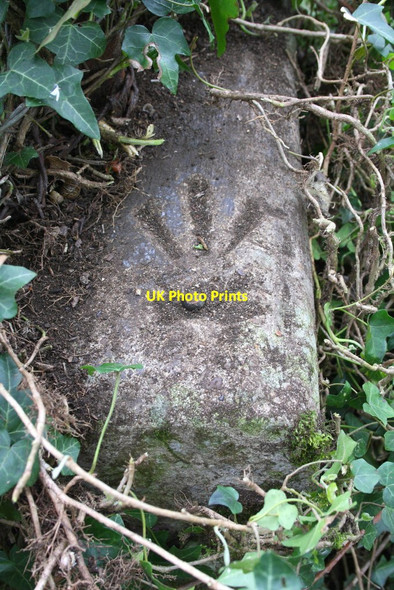 Photo 6"x4" Benchmark on top of parapet of bridge for path over drain Oxford\/SP5106 c2014