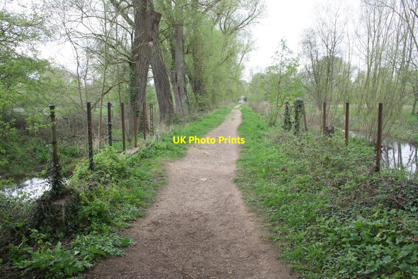 Photo 6"x4" Path towards University Parks from New Marston Oxford\/SP5106 c2014