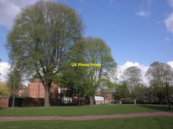 Photo 6"x4" Cathedral Green, Hereford Hereford c2014