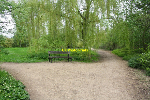 Photo 6"x4" Paths in University Parks at Cox's Corner Oxford\/SP5106 c2014