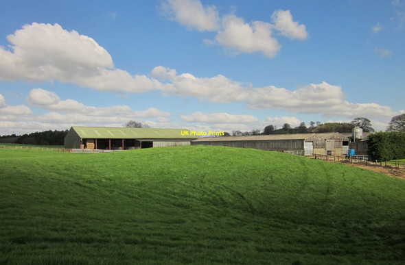 Photo 6"x4" Farm buildings, Foal Cote Low Gate\/SE2567 c2014