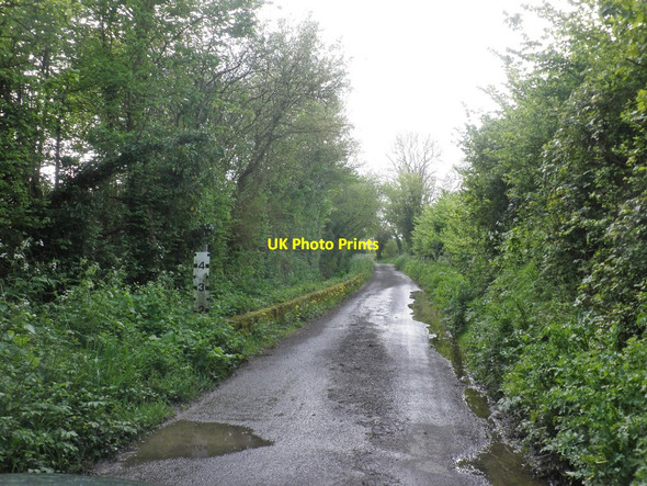 Photo 6"x4" Road with flood risk, near Hillfarrance Allerford\/ST1725 c2014