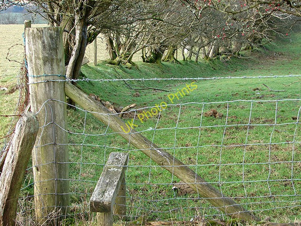 Photo 6"x4" Barbed wire stile at Talyrnau Farm Cwm-Llinau c2008