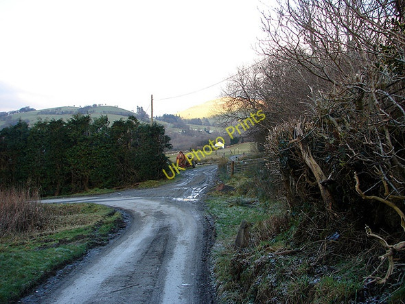 Photo 6"x4" Track leading from Talyrnau farm Cwm-Llinau c2008
