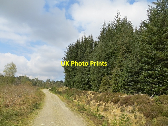 Photo 6"x4" Logging road, Cougie Creag Dhubh\/NH2221 c2014