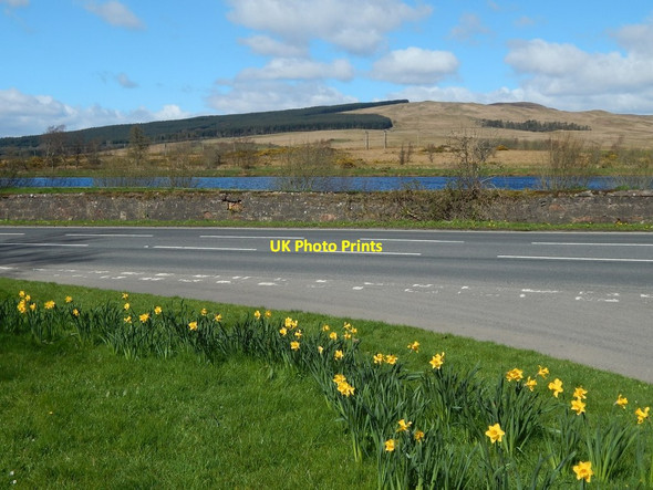 Photo 6"x4" View across Luss Road Helensburgh c2014